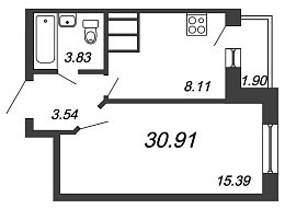 Приневский, IV кв. 2021, 1 комната, 30.91 м2