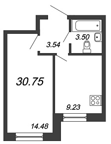 Приневский, IV кв. 2021, 1 комната, 30.75 м2