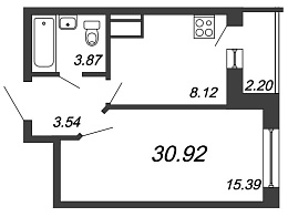 Приневский, IV кв. 2021, 1 комната, 30.92 м2